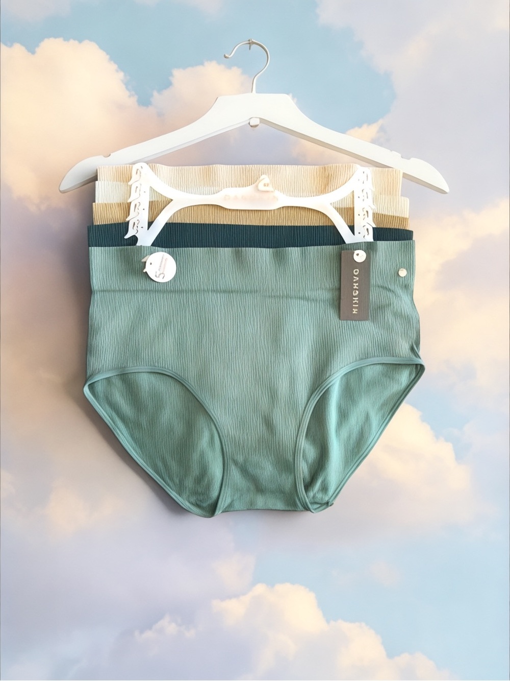 Danskin 5/pack Ribbed Seamless Panties Sz. 3X